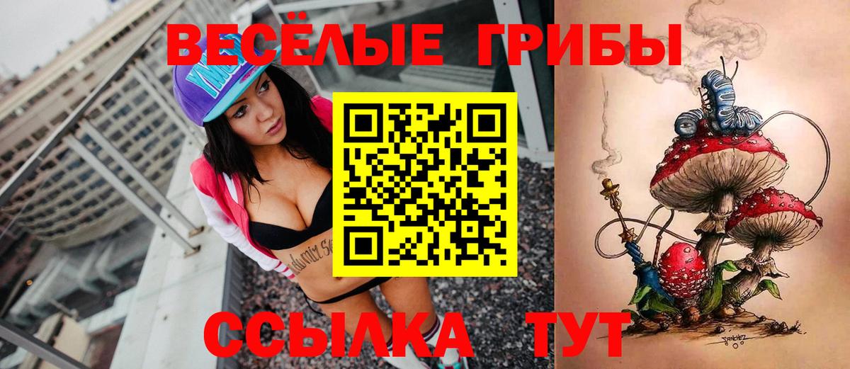 Псилоцибиновые грибы Psilocybe Маркс